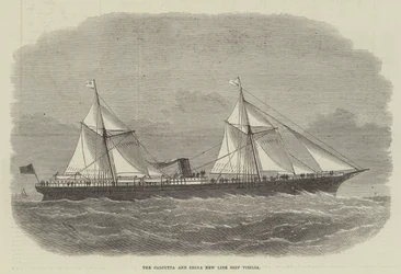 Kalkuta i Chiny New Line Ship Vibilia